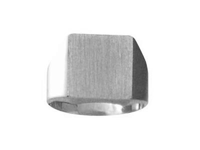 Chevalière massive tournée doigt, plateau 14 x 12 mm, Or gris 18k Pd 12. Réf. 423/12, doigt 69 - Image Standard - 1