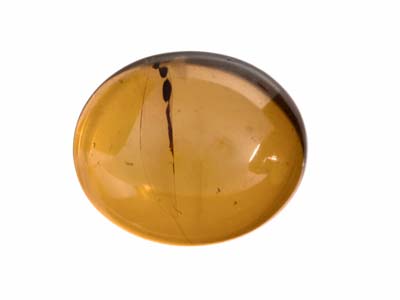 Ambre naturel, cabochon ovale 12 x 10 mm - Image Standard - 1