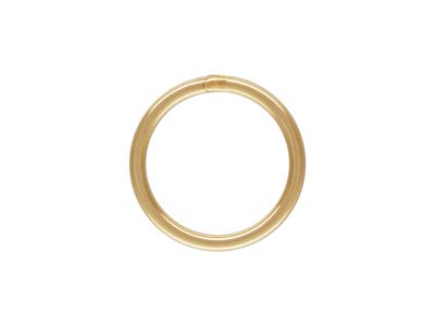 Cercle de vie 10 mm, Gold filled - Image Standard - 1