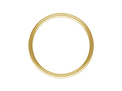 Cercle de vie 15 mm, Gold filled - Image Standard - 1