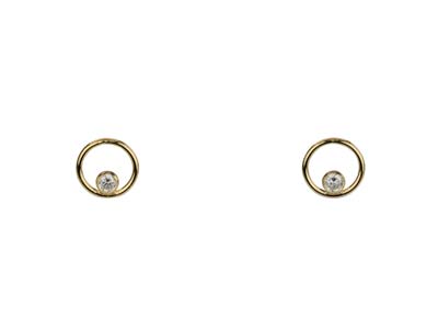 Boucles d'oreilles Oxyde de zirconium dans cercle, Gold filled - Image Standard - 1